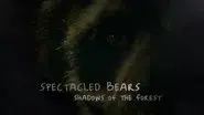 Spectacled Bears - Shadows Of The Forest still