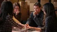 Magpie still