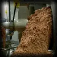 Modern Meat still