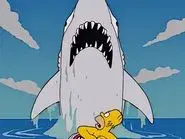 Old Yeller-Belly still