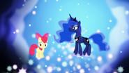 Bloom and Gloom still