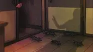Rat still