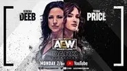 AEW Dark: Elevation #17 still