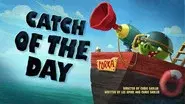 Catch Of The Day still