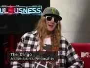 The Dingo still