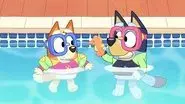 The Pool still