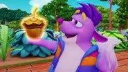 The Magic Nut still