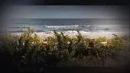 The Hunt for the Gilgo Beach Killer still