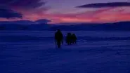 Arctic: Life in the Deep Freeze still