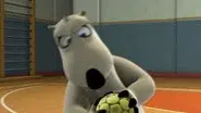 Handball still