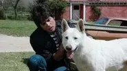 K-9-1 still