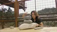 The Survivor Brain still