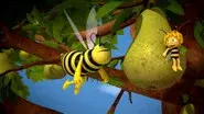 Thank You Wasps still