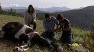 Broken Arrow still