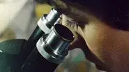 Designer DNA still