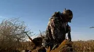 Ribeye of the Sky: Sandhill Cranes in West Texas still
