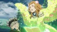 Flower of Resolution still