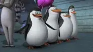 The Terror of Madagascar still