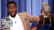 Kevin Hart/Robert Irwin still