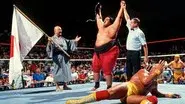 Yokozuna still