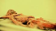 Mummies: a Challenge to Immortality still