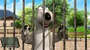 The Zoo 1 still