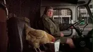 Offensive Fowl still