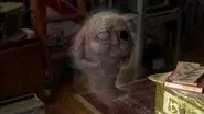 Raising the Dead still