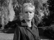 The Case of the Fugitive Fraulein still