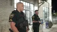 Backyard Assault still