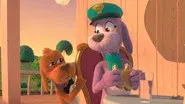 All Paws on Deck still