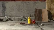 Fighter in the Wind still