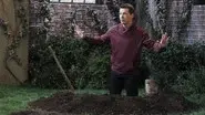 Diggin' Up Bones still