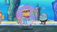 Burst Your Bubble still