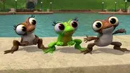 Odd Frog Out still