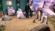 Batman vs. the Penguin still