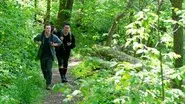 The Hike still