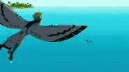Hammerheads still