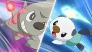 Ash and Trip's Third Battle! still