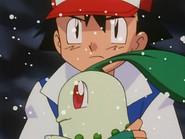 The Chikorita Rescue still