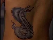 Curse of the Cobra still