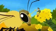 Flight of the Pollinators still
