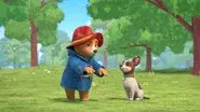 Paddington Meets Lucky still