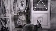 The Giant Jackrabbit still