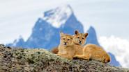 Fire and Ice still