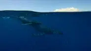 The Pacific still