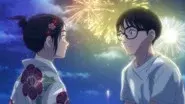 The Fireworks Star still