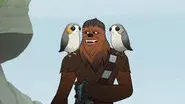 Porgs! still