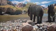 Mammoth Mass Mortality still