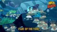 Stars of the Tides still
